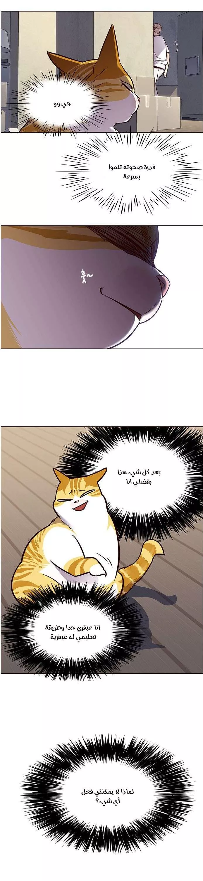 Read Eleceed AR Manga Online