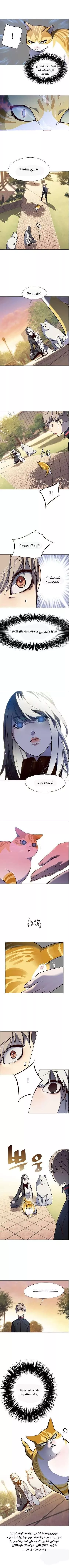 Read Eleceed AR Manga Online