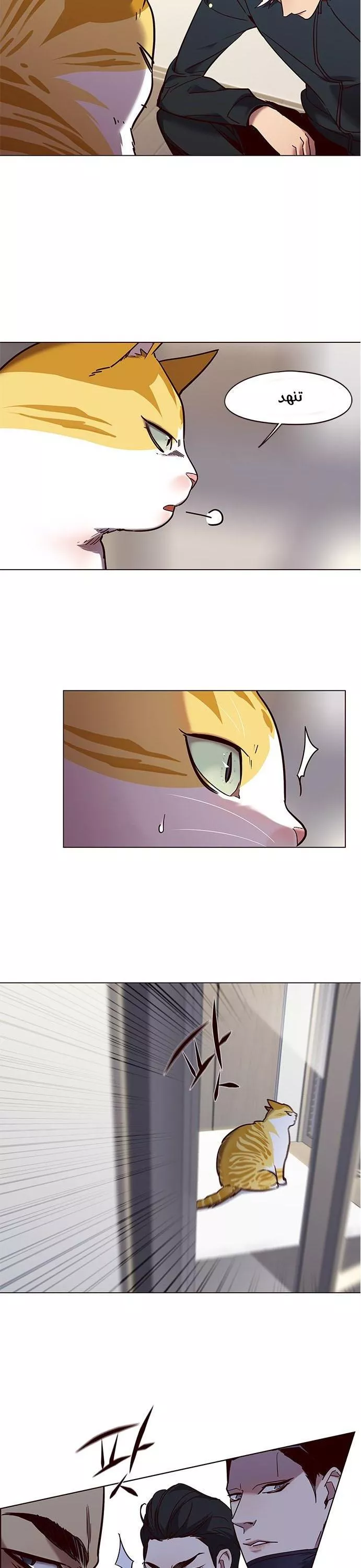 Read Eleceed AR Manga Online