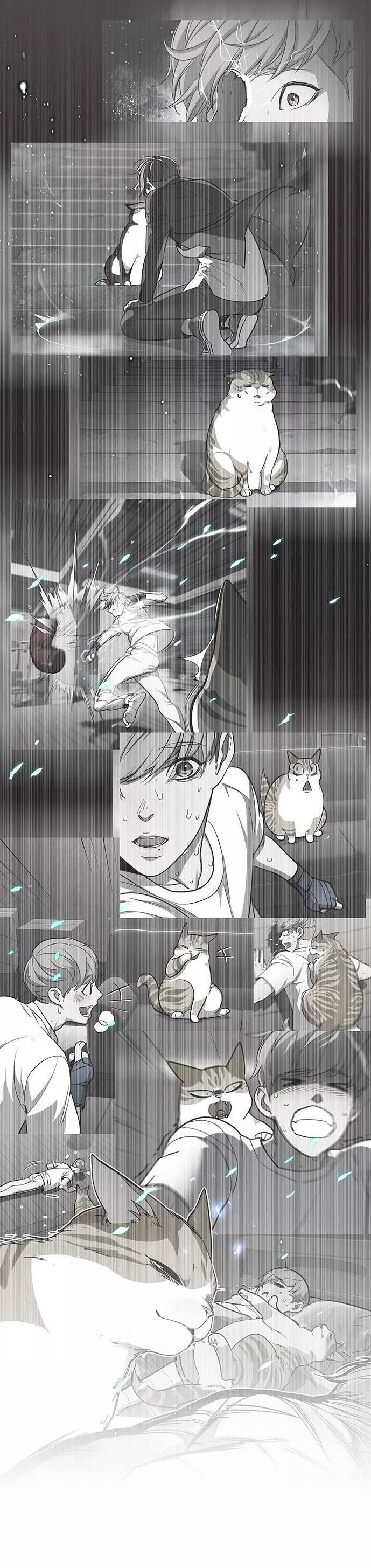 Read Eleceed AR Manga Online