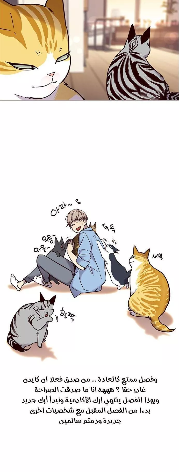 Read Eleceed AR Manga Online