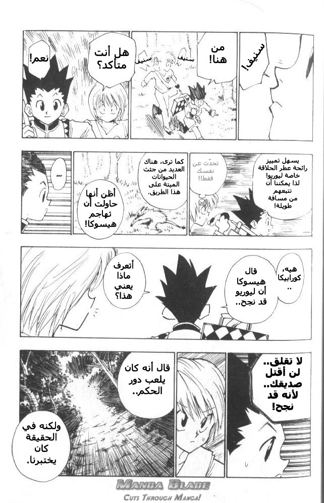 Read Hunter x Hunter AR Manga Online