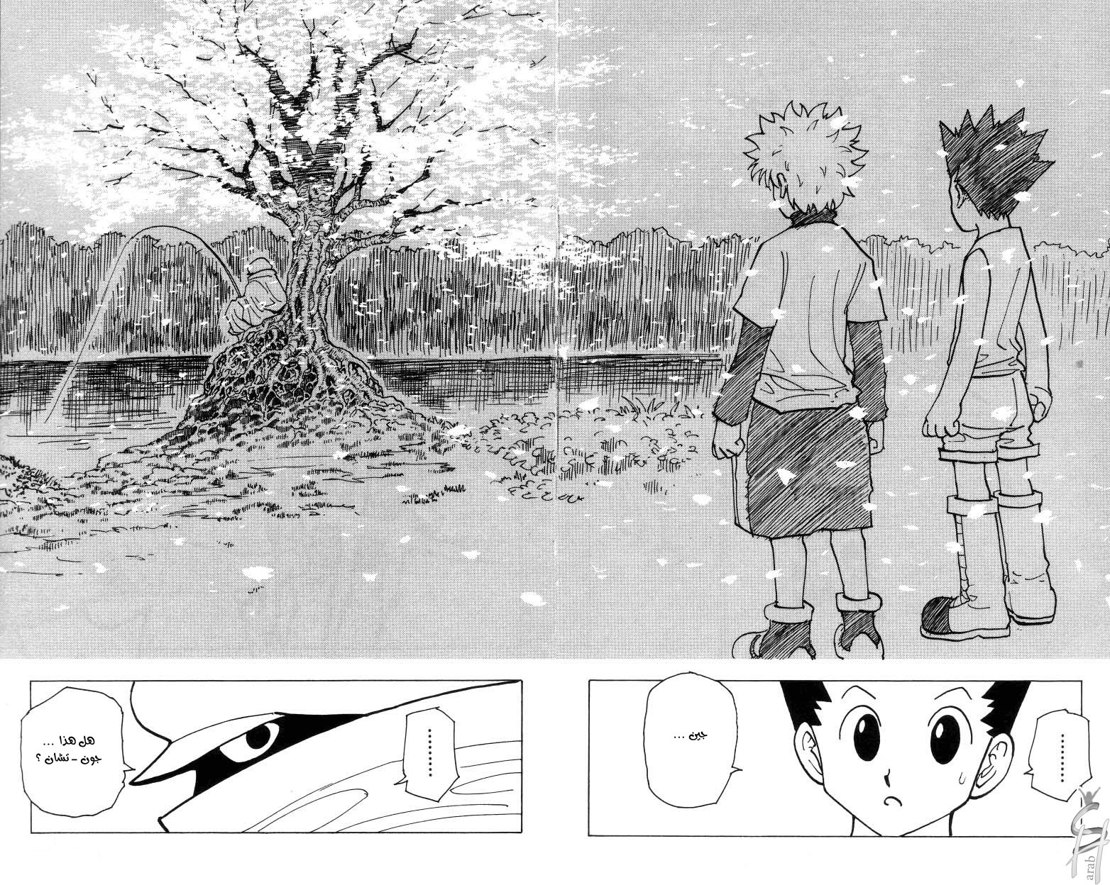 Read Hunter x Hunter AR Manga Online