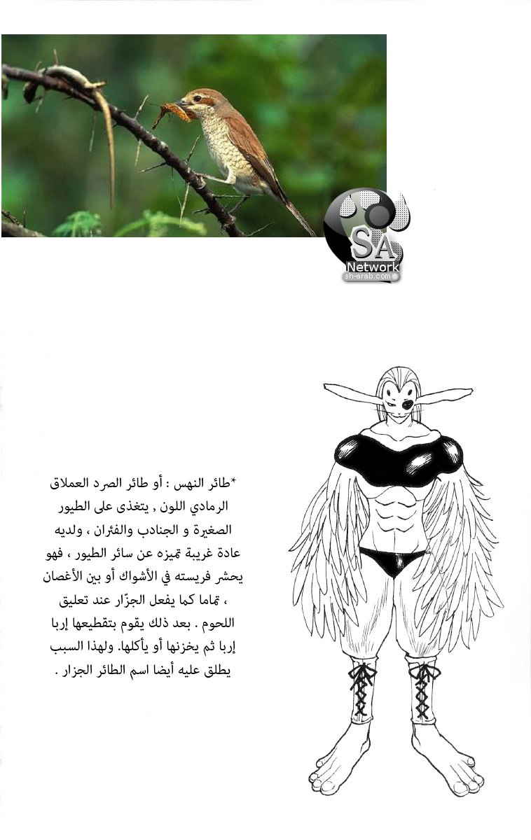 Read Hunter x Hunter AR Manga Online