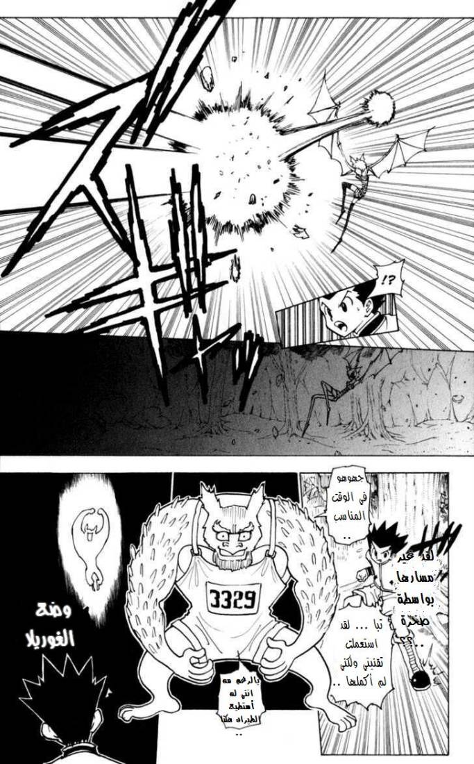 Read Hunter x Hunter AR Manga Online