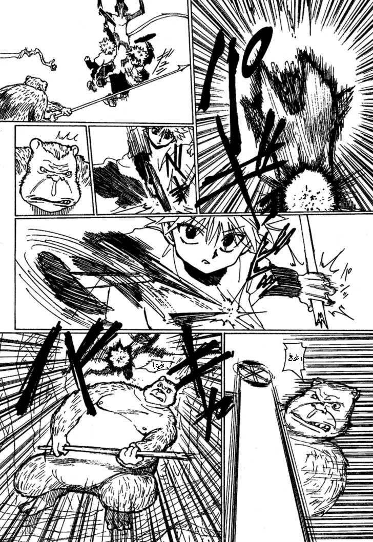 Read Hunter x Hunter AR Manga Online