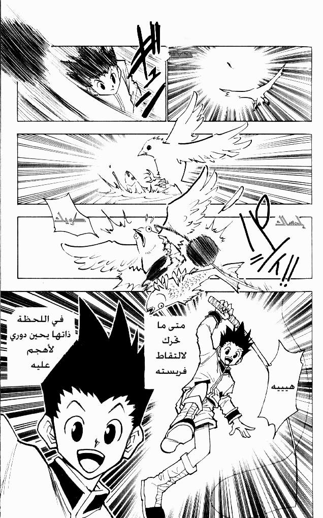 Read Hunter x Hunter AR Manga Online