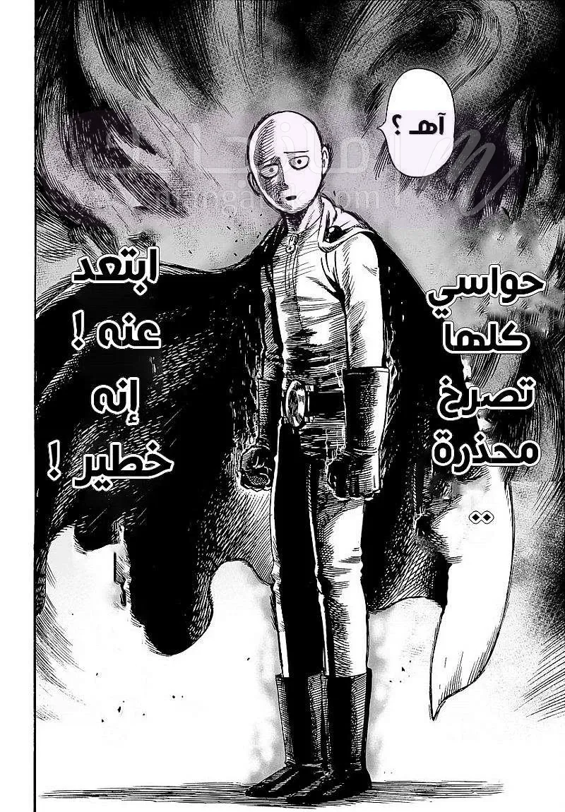 Read One Punch Man AR Manga Online