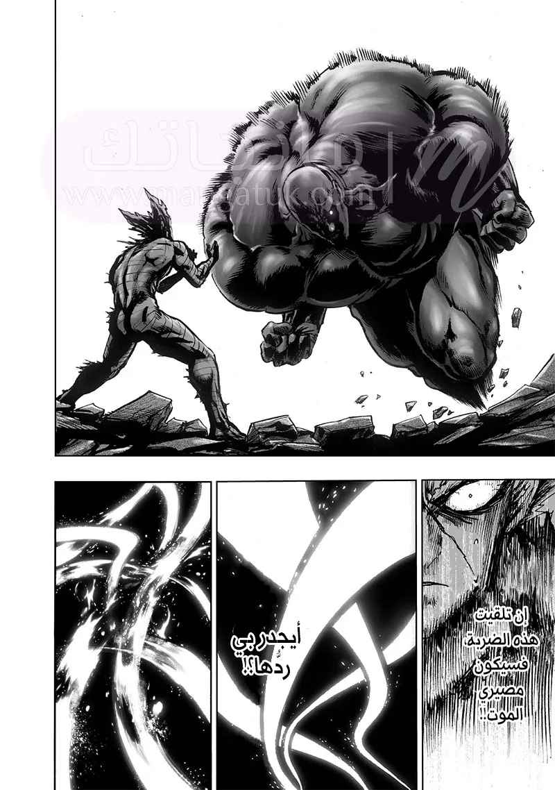 Read One Punch Man AR Manga Online