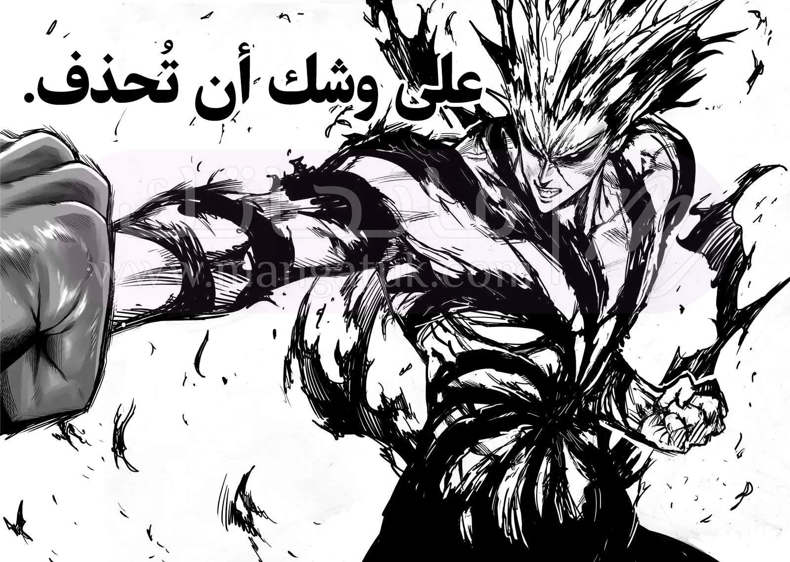 Read One Punch Man AR Manga Online