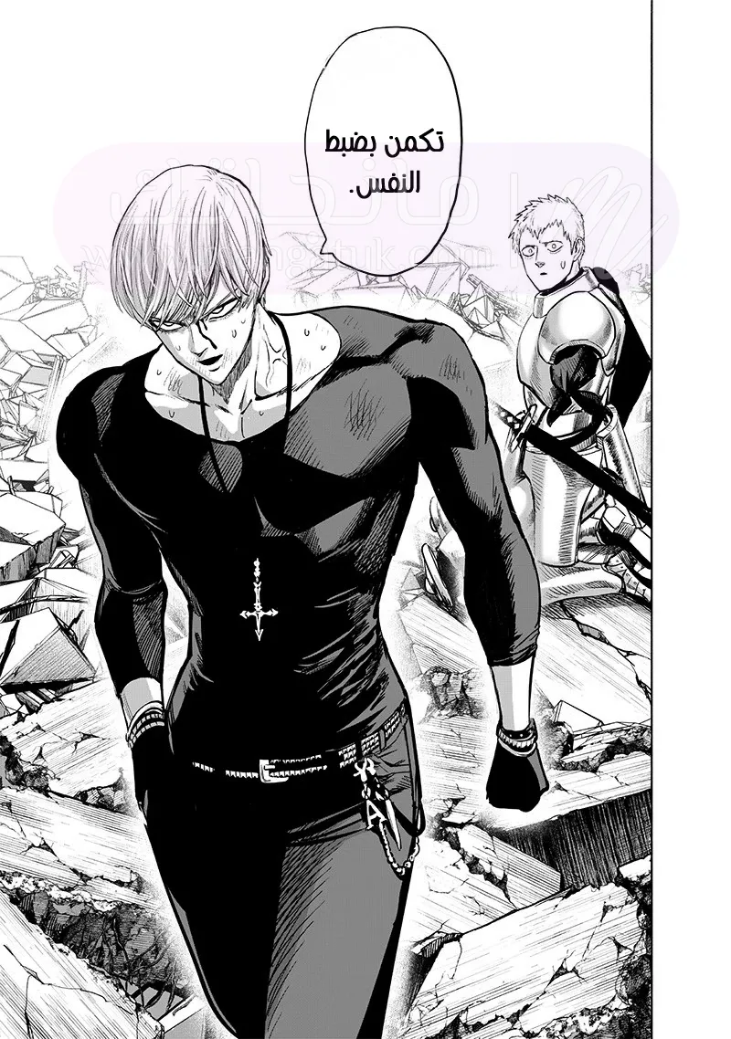 Read One Punch Man AR Manga Online
