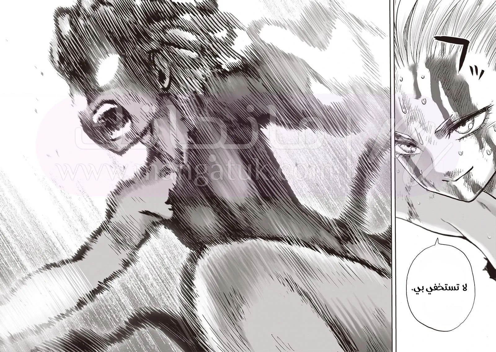 Read One Punch Man AR Manga Online