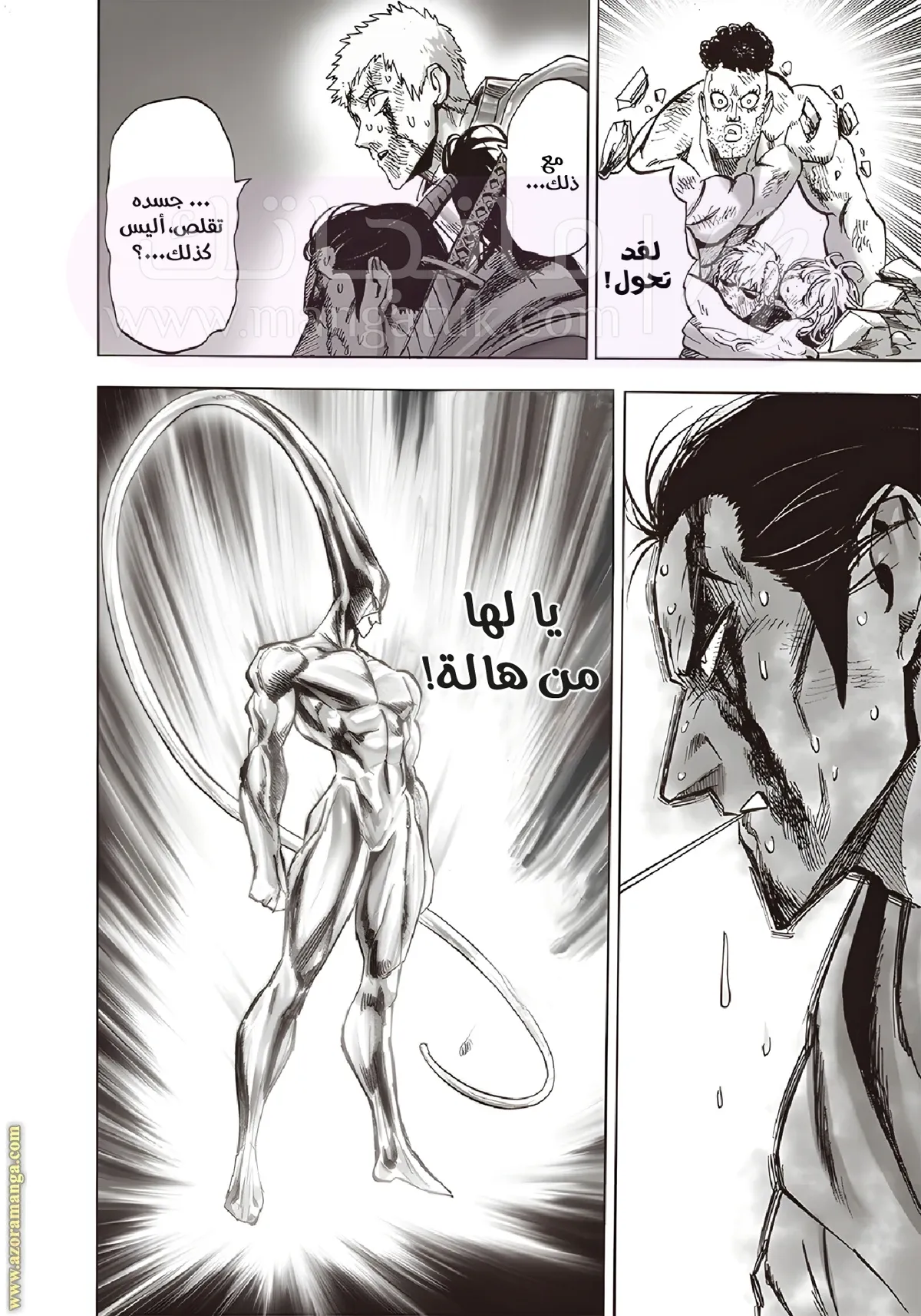 Read One Punch Man AR Manga Online