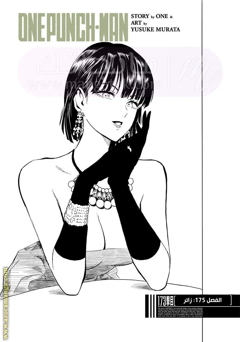 Read One Punch Man AR Manga Online