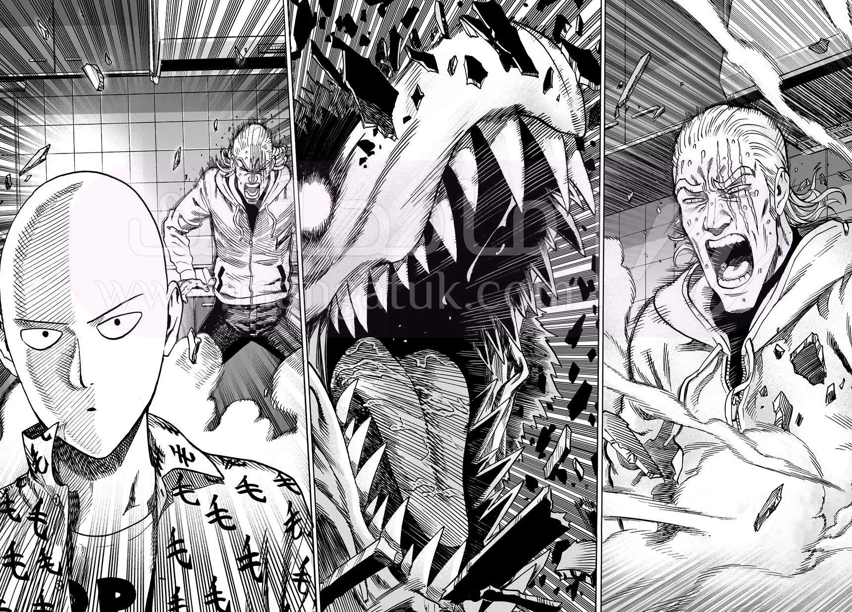 Read One Punch Man AR Manga Online