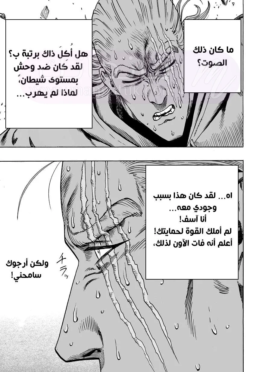 Read One Punch Man AR Manga Online