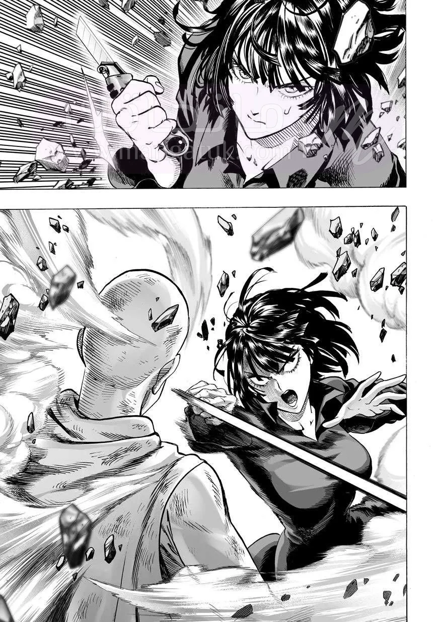 Read One Punch Man AR Manga Online