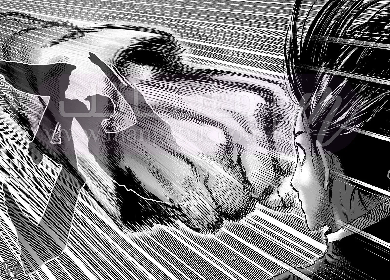 Read One Punch Man AR Manga Online