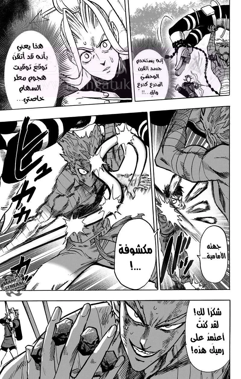 Read One Punch Man AR Manga Online