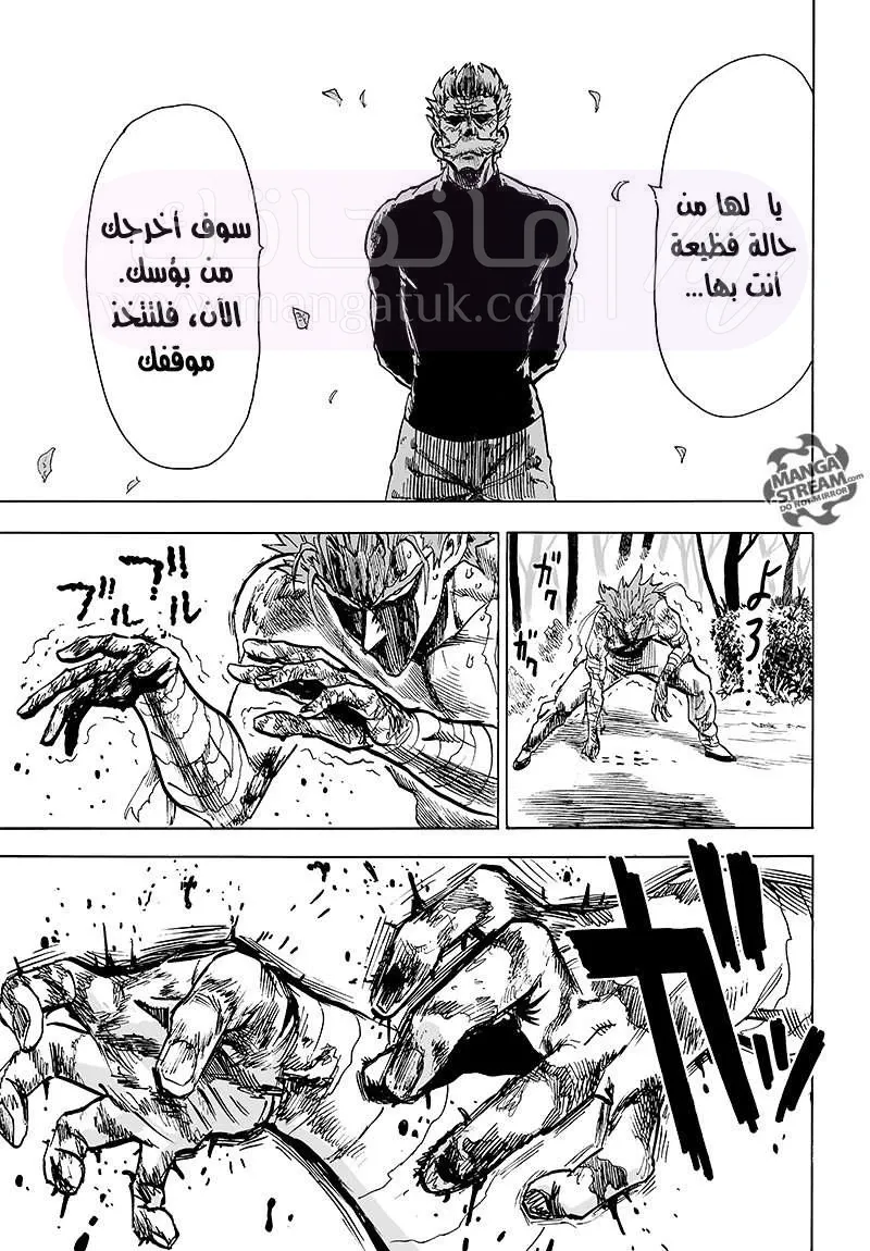 Read One Punch Man AR Manga Online