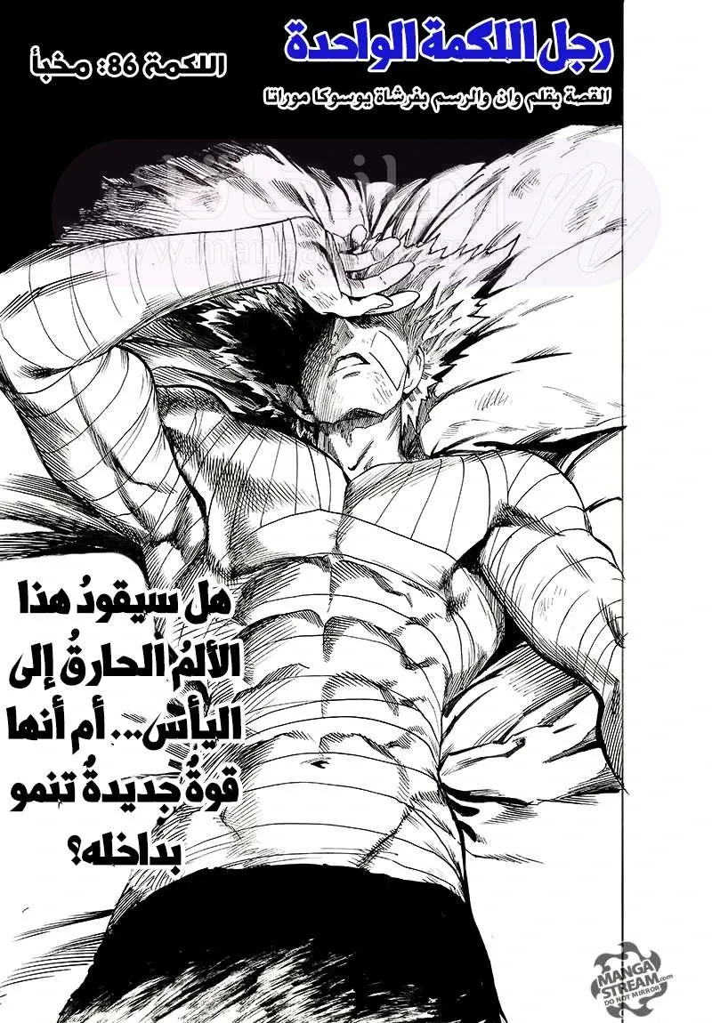 Read One Punch Man AR Manga Online