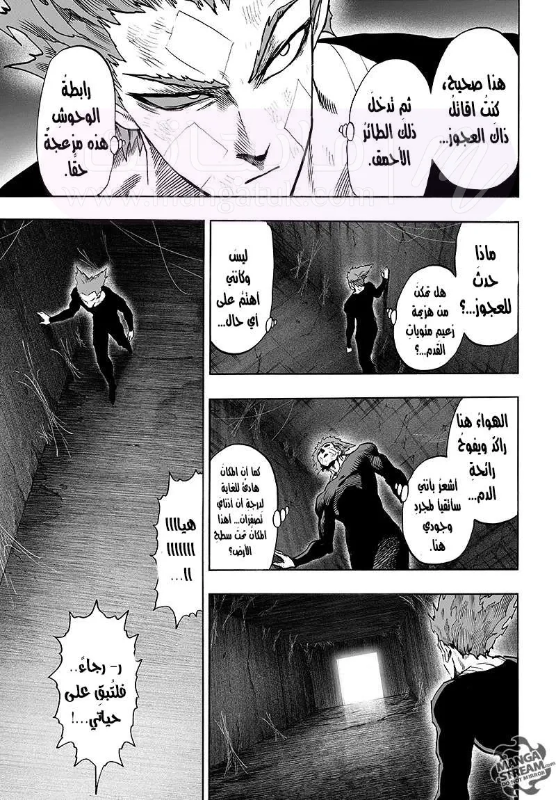 Read One Punch Man AR Manga Online