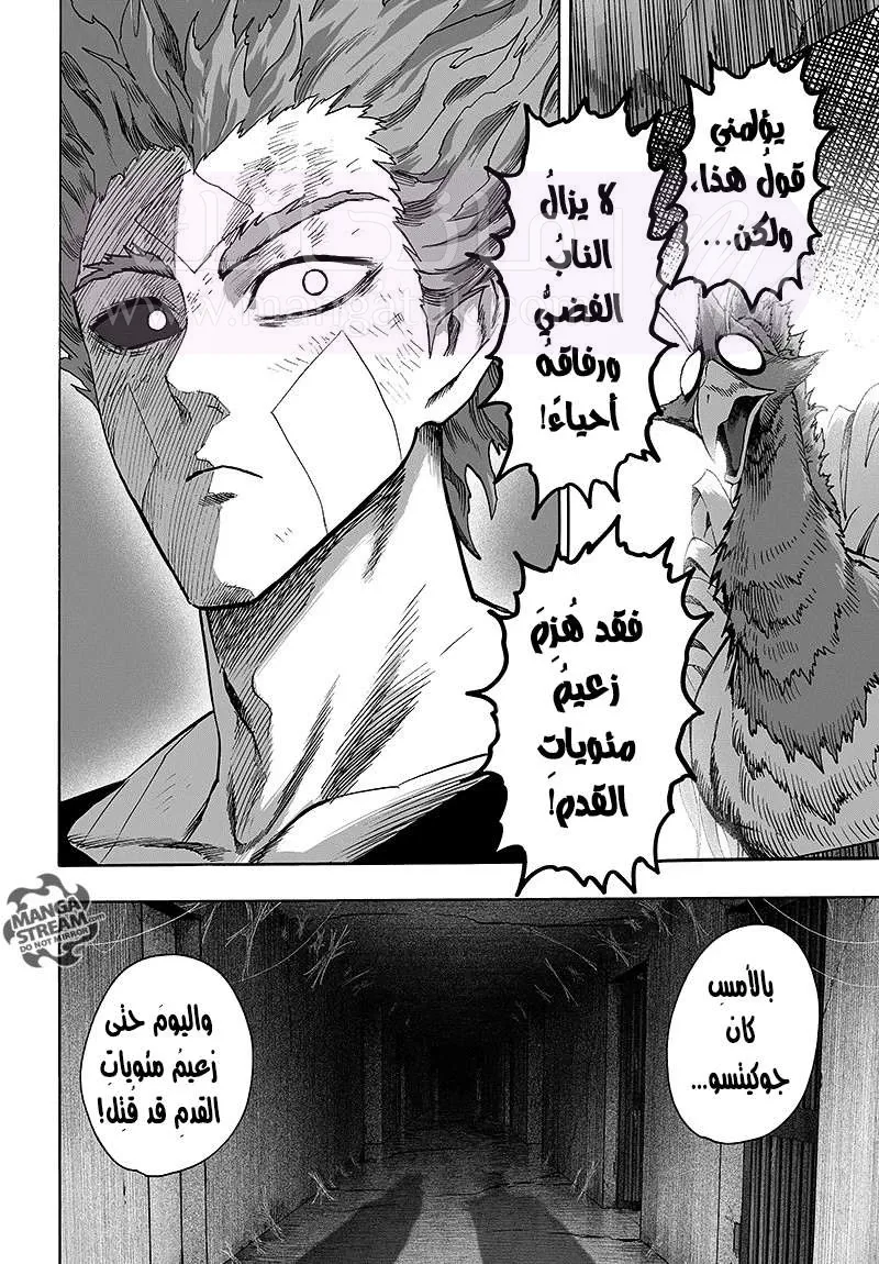 Read One Punch Man AR Manga Online