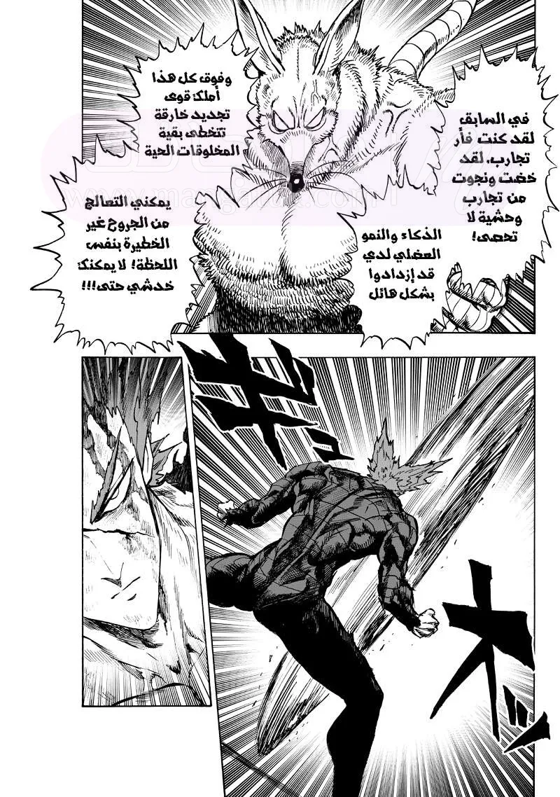 Read One Punch Man AR Manga Online