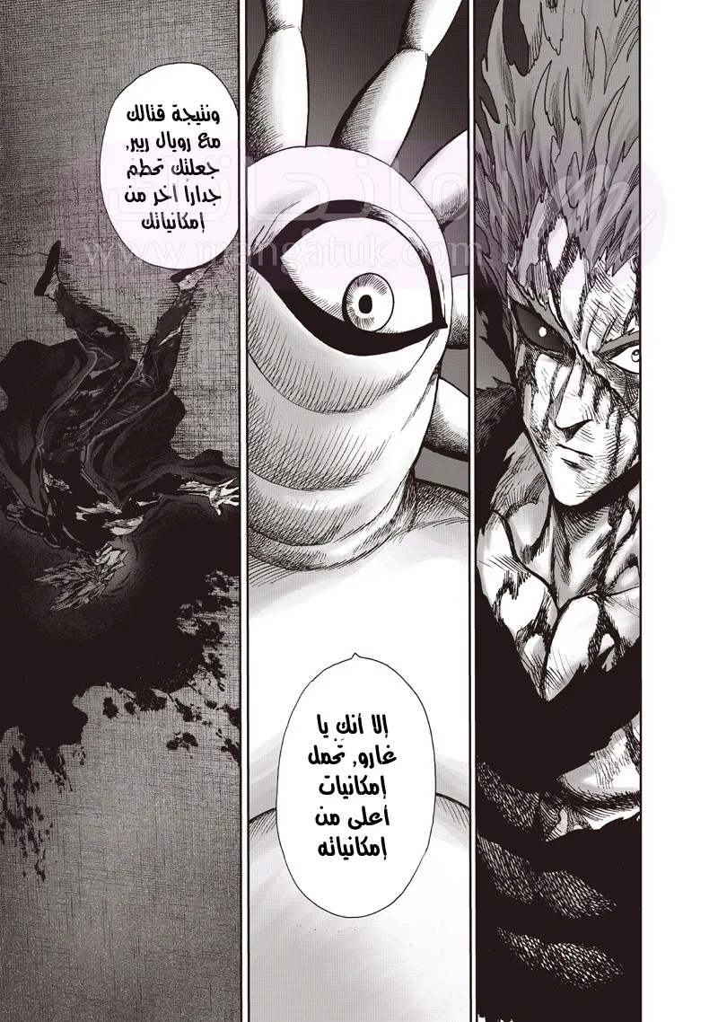 Read One Punch Man AR Manga Online
