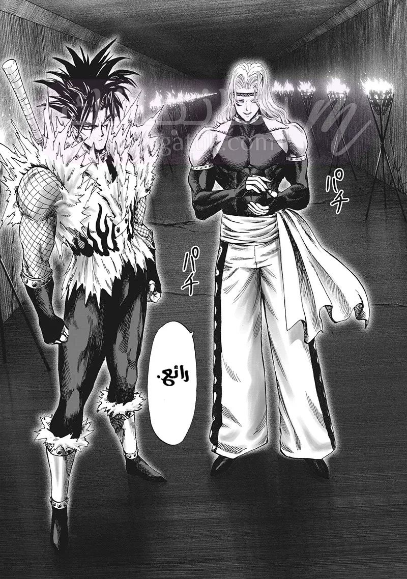 Read One Punch Man AR Manga Online
