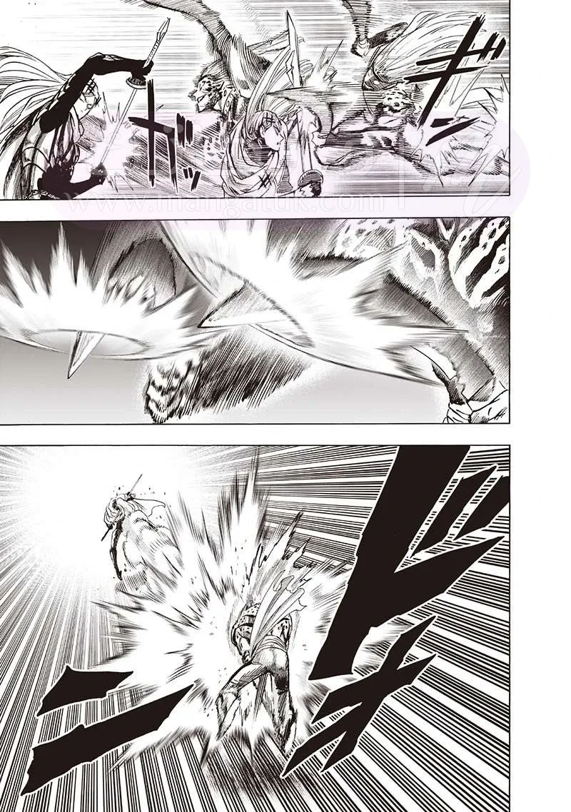 Read One Punch Man AR Manga Online