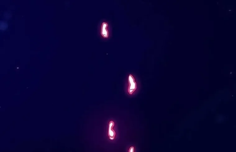 Read Player AR Manga Online