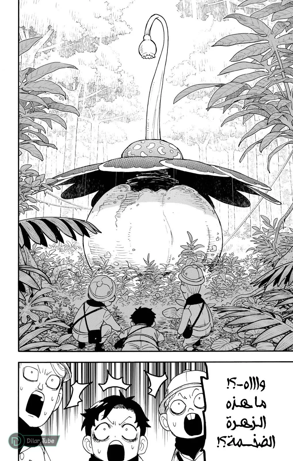 Read SPYxFAMILY AR Manga Online