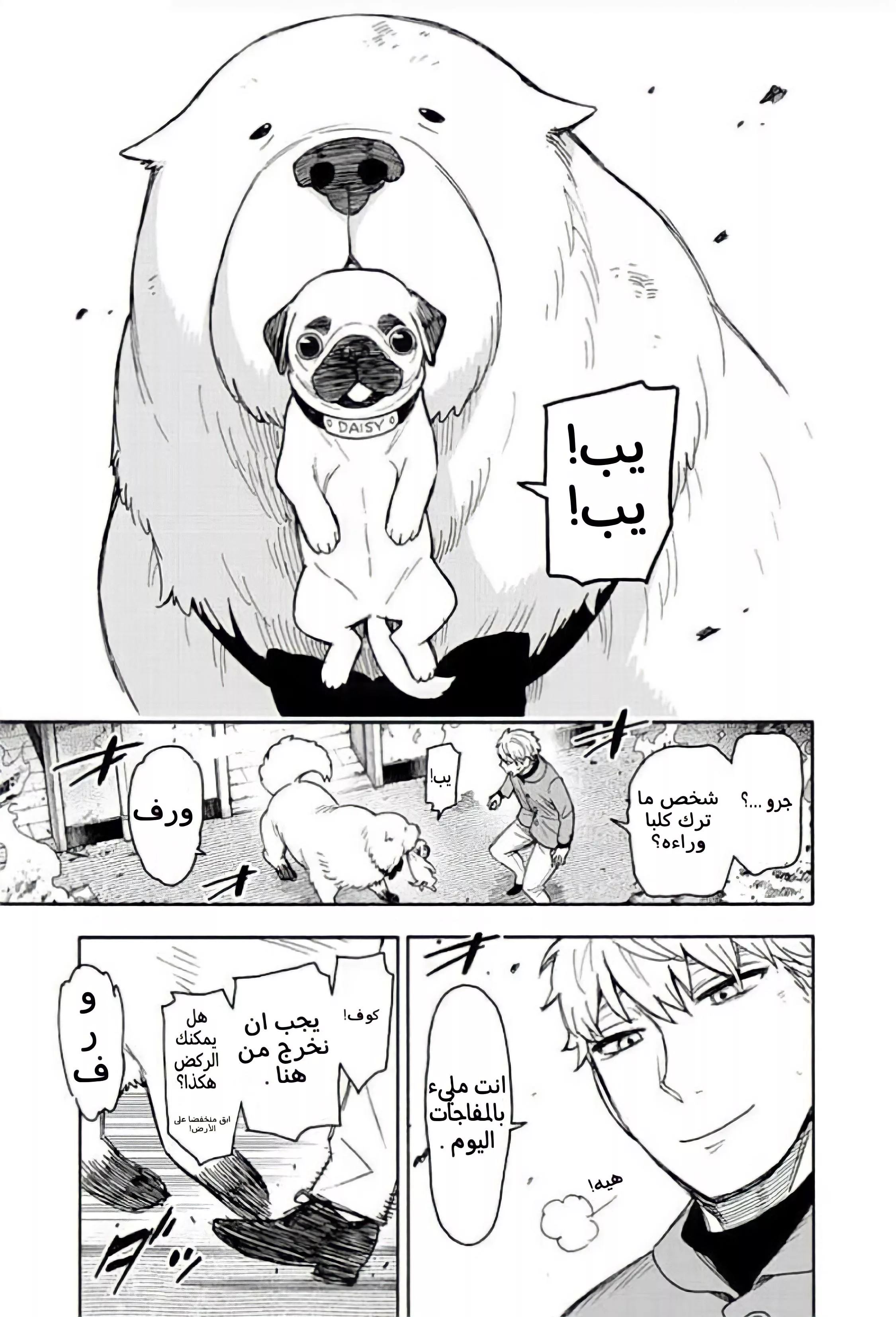 Read SPYxFAMILY AR Manga Online