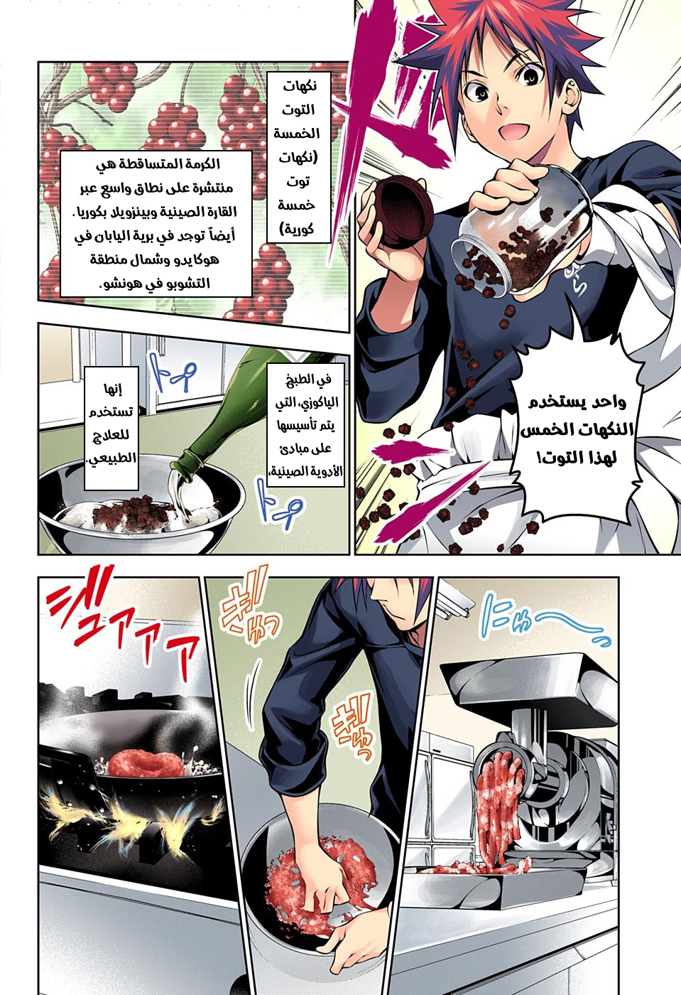 Read Shokugeki no Soma AR Manga Online