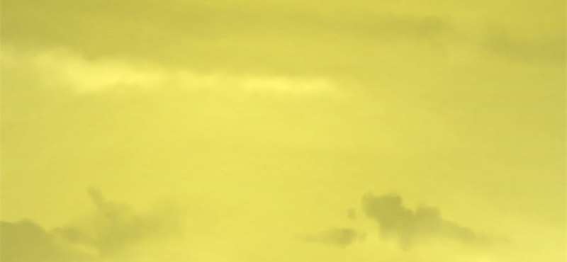 Read The Dark Hunter AR Manga Online