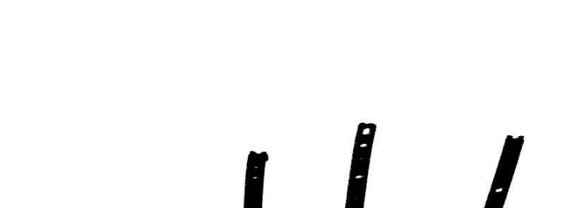 Read The Dark Hunter AR Manga Online