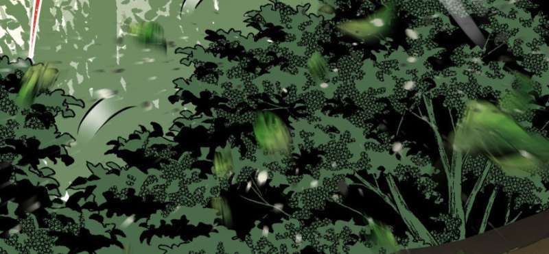 Read The Dark Hunter AR Manga Online