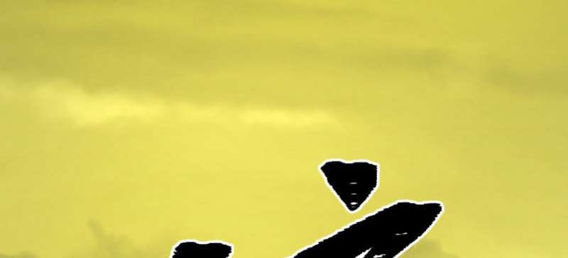 Read The Dark Hunter AR Manga Online