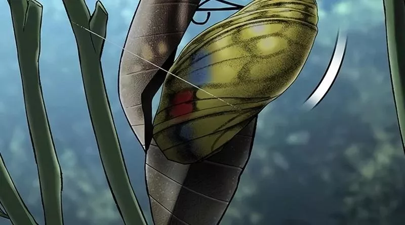 Read To Not Die AR Manga Online