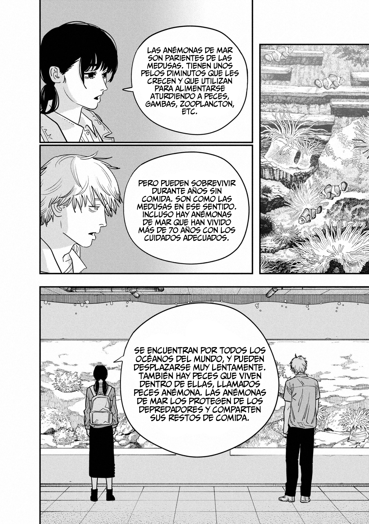 Read Chainsaw Man ES Manga Online