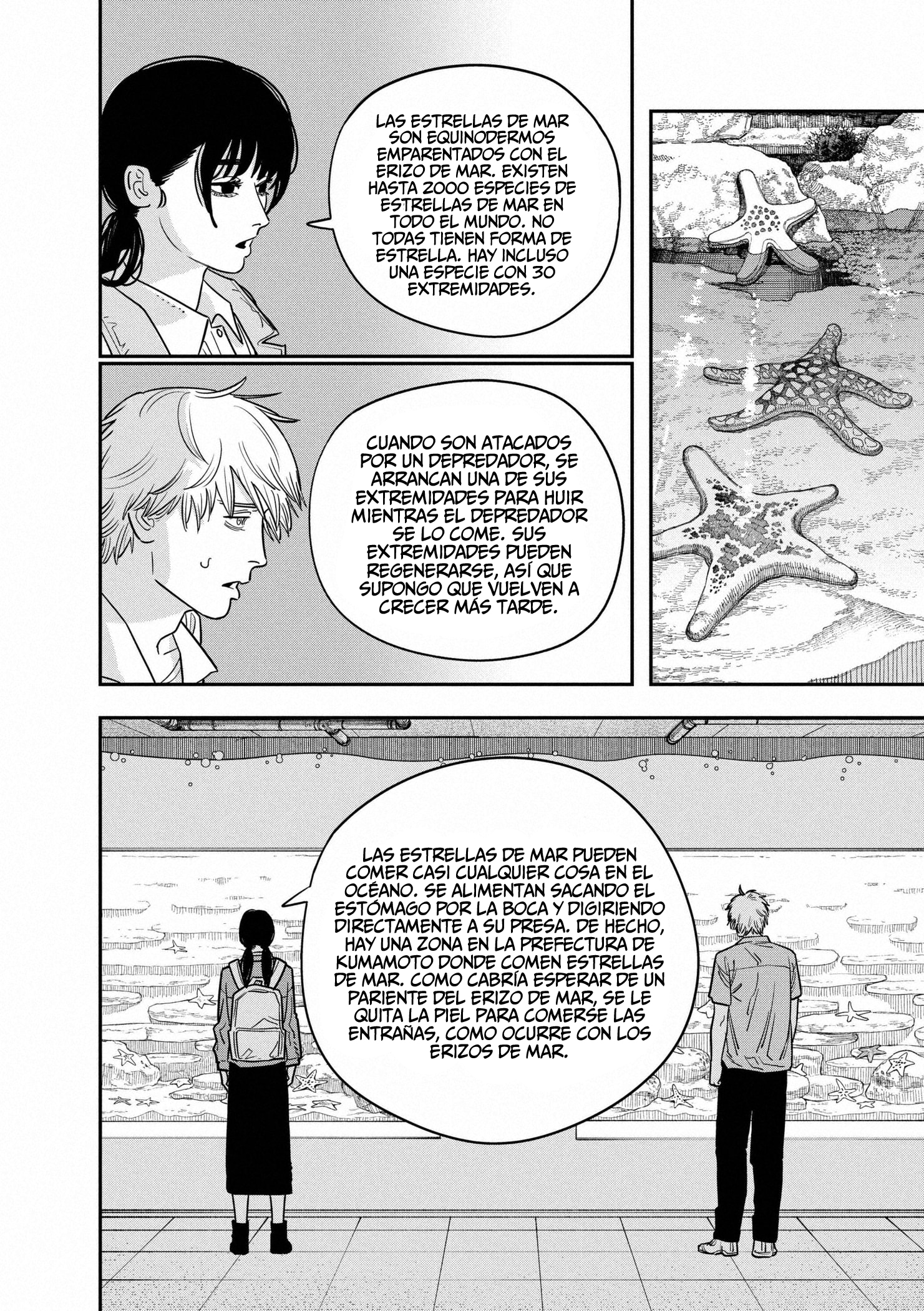 Read Chainsaw Man ES Manga Online