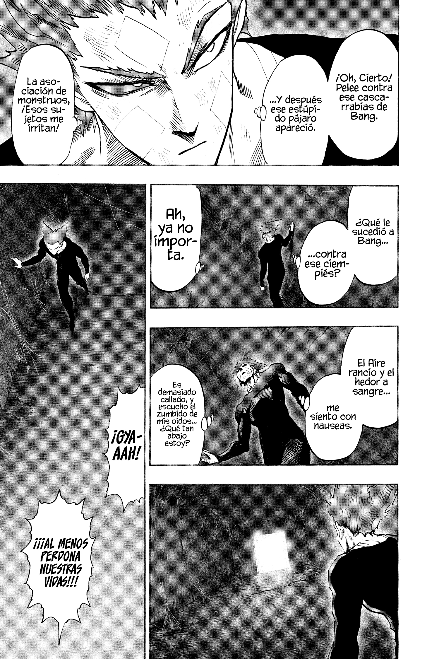 Read One Punch-Man ES Manga Online