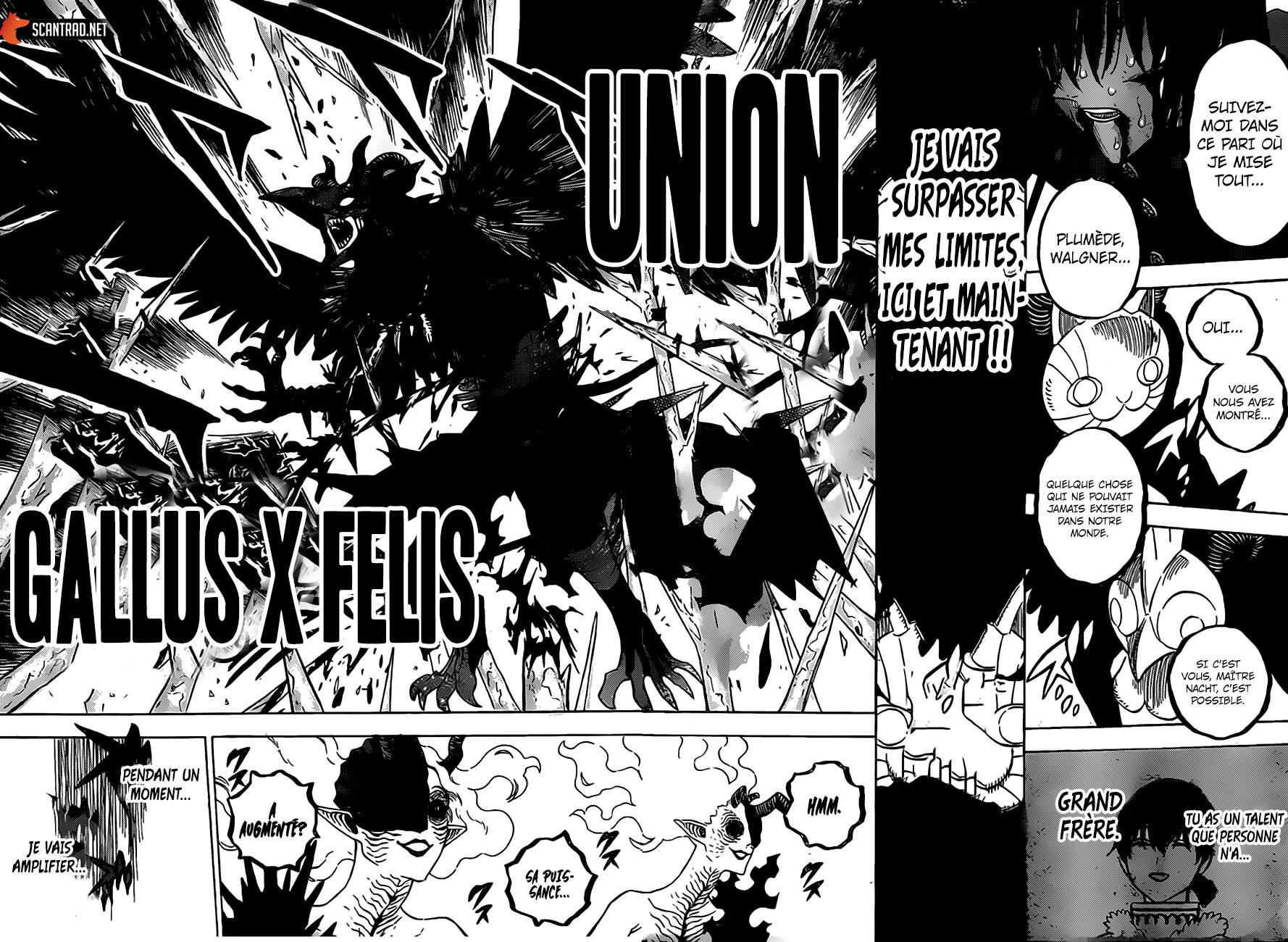 Read Black Clover FR Manga Online