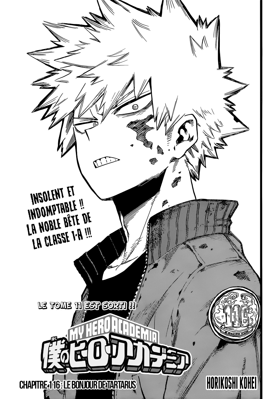 Read Boku no Hero Academia FR Manga Online