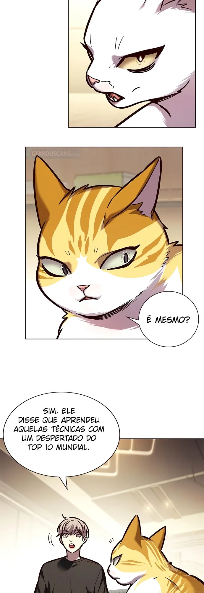 Read Eleceed PT Manga Online