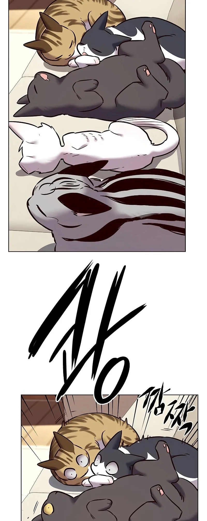 Read Eleceed PT Manga Online