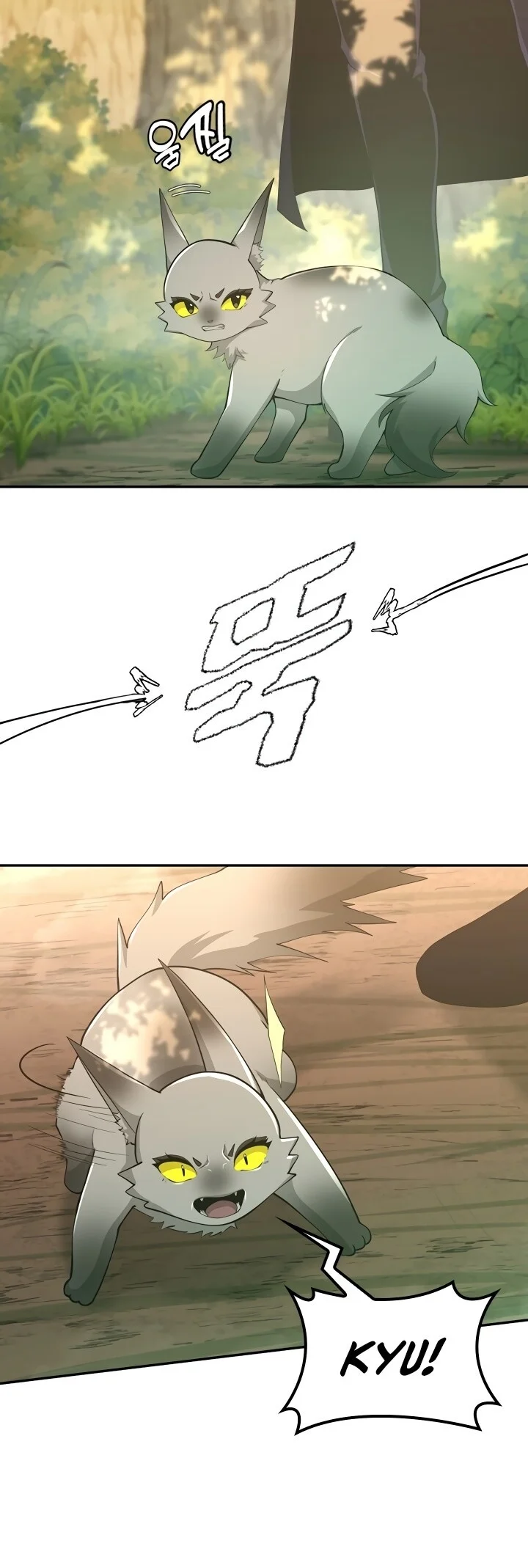 Read The Beginning After the End PT Manga Online