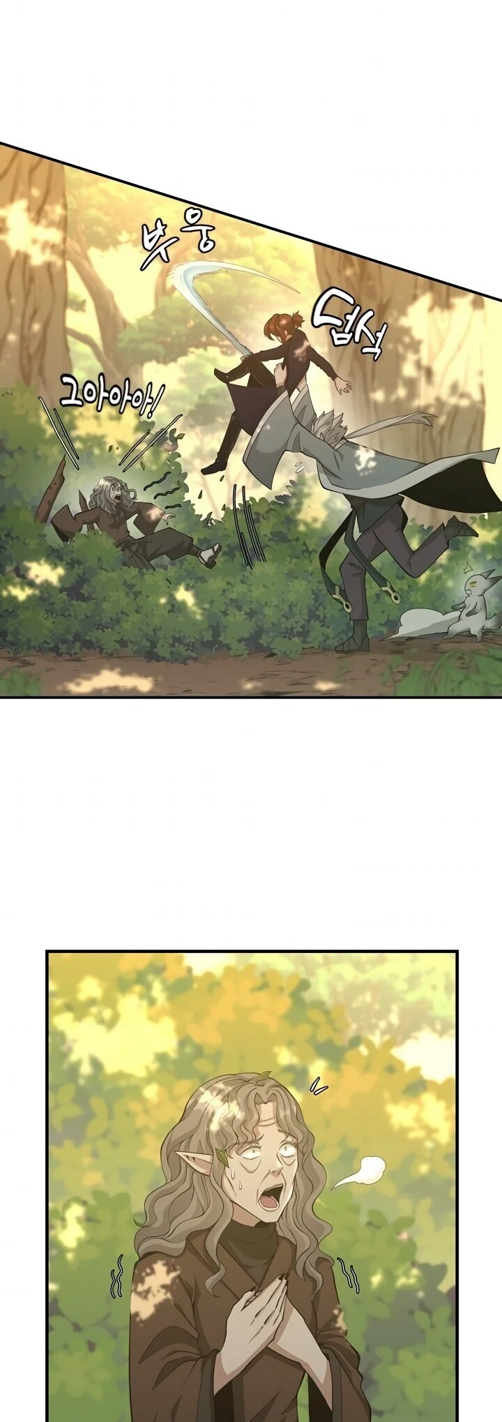 Read The Beginning After the End PT Manga Online
