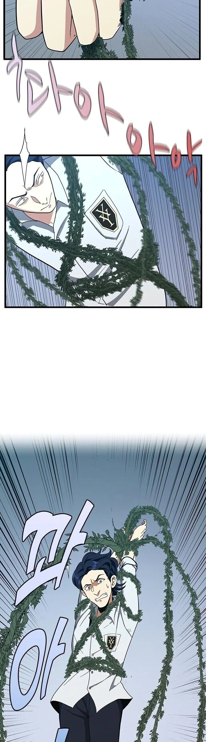 Read The Beginning After the End PT Manga Online